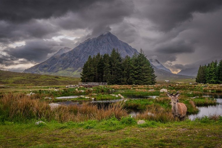 090 Glencoe.jpg